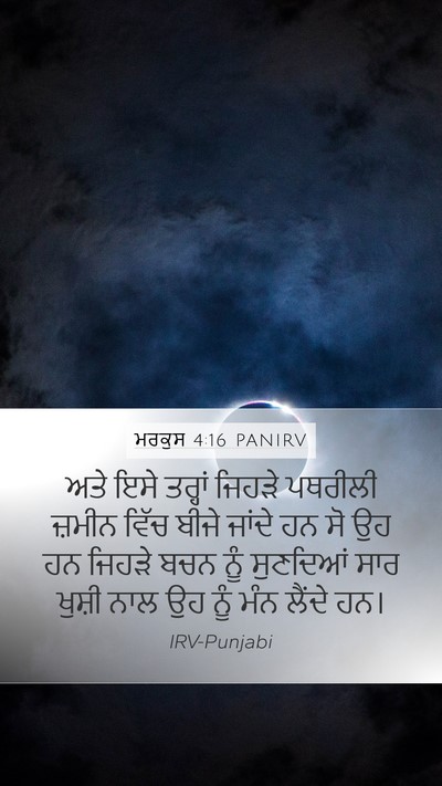 ਮਰਕੁਸ 4:16 PANIRV Bible Verse Image