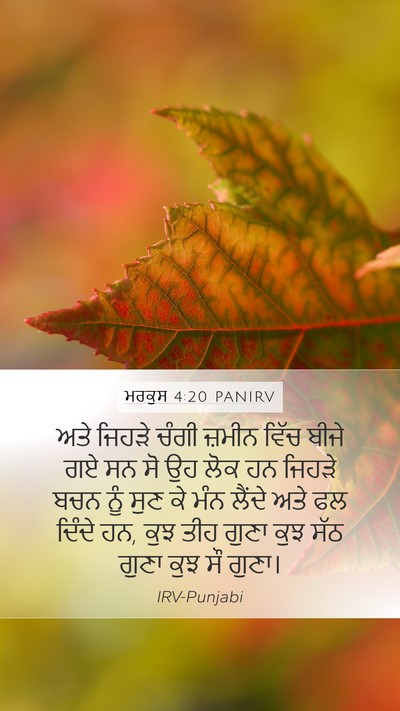 ਮਰਕੁਸ 4:20 PANIRV Bible Verse Image
