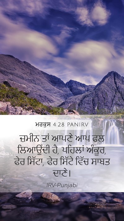ਮਰਕੁਸ 4:28 PANIRV Bible Verse Image