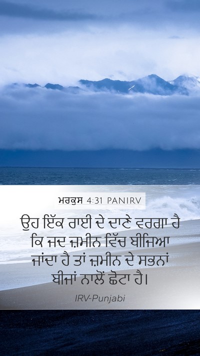ਮਰਕੁਸ 4:31 PANIRV Bible Verse Image