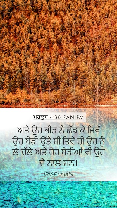 ਮਰਕੁਸ 4:36 PANIRV Bible Verse Image