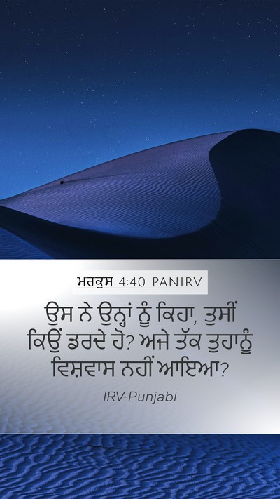 ਮਰਕੁਸ 4:40 PANIRV Bible Verse Image