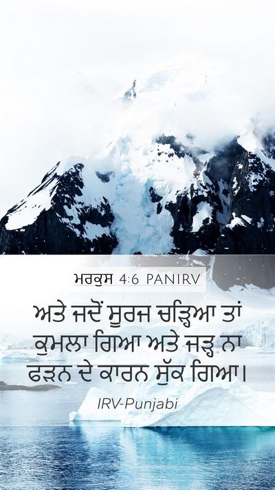 ਮਰਕੁਸ 4:6 PANIRV Bible Verse Image