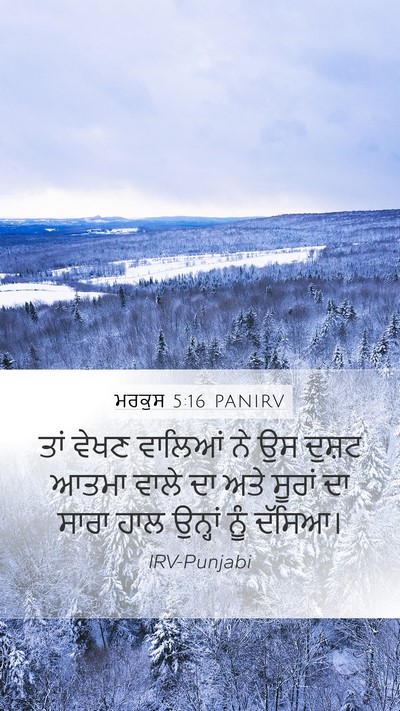 ਮਰਕੁਸ 5:16 PANIRV Mobile Phone Wallpaper - ਤਾਂ ਵੇਖਣ ਵਾਲਿਆਂ ਨੇ - Mobile Bible Verse Wallpaper