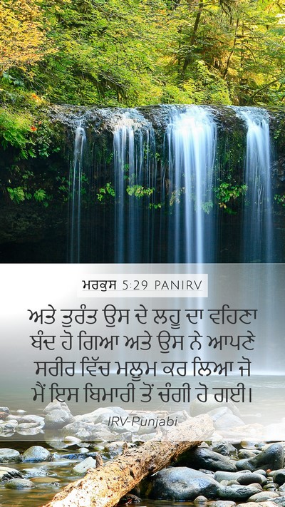 ਮਰਕੁਸ 5:29 PANIRV Bible Verse Image