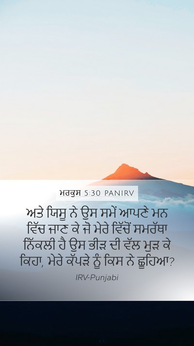 ਮਰਕੁਸ 5:30 PANIRV Bible Verse Image