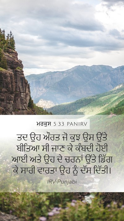 ਮਰਕੁਸ 5:33 PANIRV Bible Verse Image