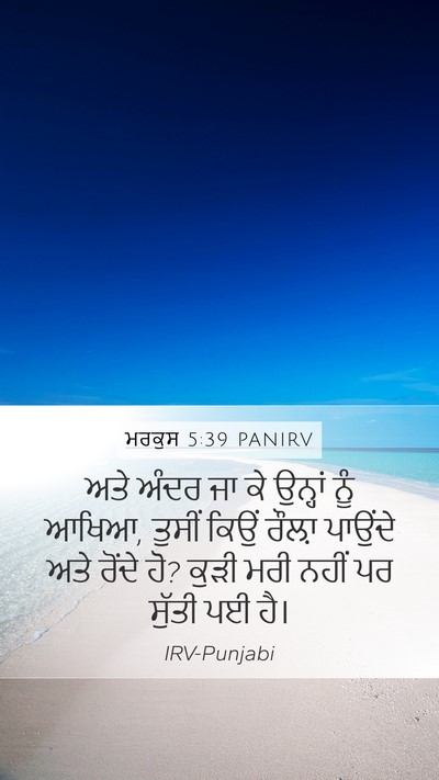 ਮਰਕੁਸ 5:39 PANIRV Bible Verse Image