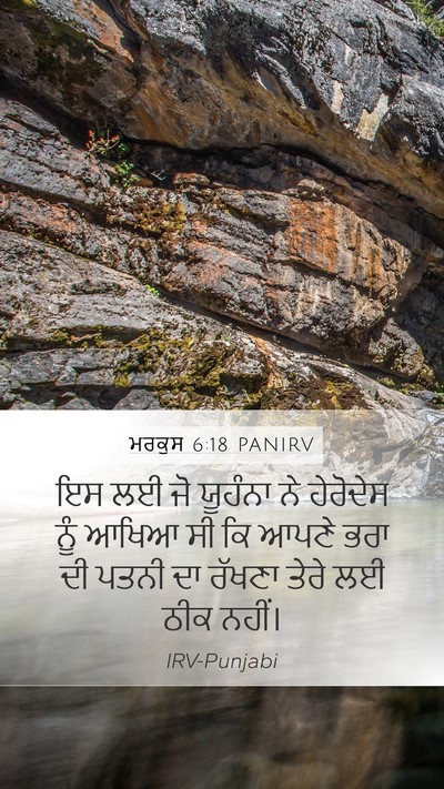 ਮਰਕੁਸ 6:18 PANIRV Bible Verse Image