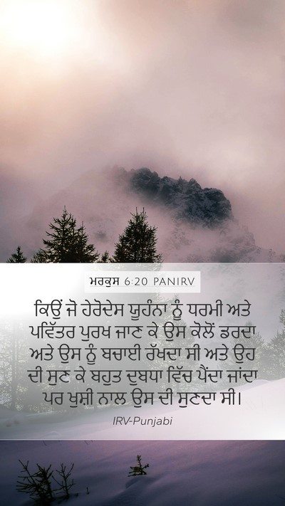 ਮਰਕੁਸ 6:20 PANIRV Bible Verse Image