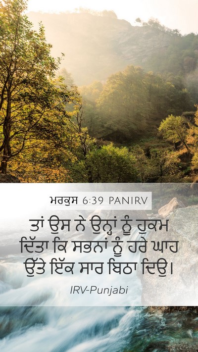 ਮਰਕੁਸ 6:39 PANIRV Bible Verse Image