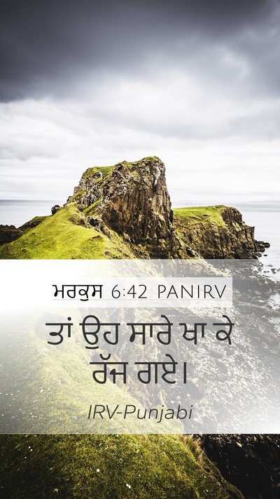 ਮਰਕੁਸ 6:42 PANIRV Bible Verse Image