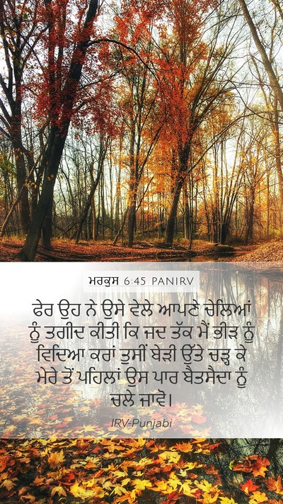 ਮਰਕੁਸ 6:45 PANIRV Bible Verse Image