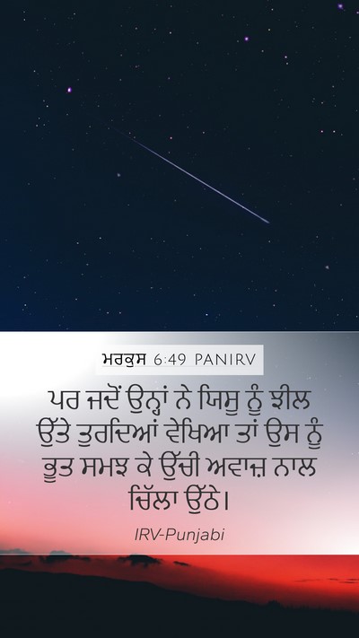 ਮਰਕੁਸ 6:49 PANIRV Bible Verse Image