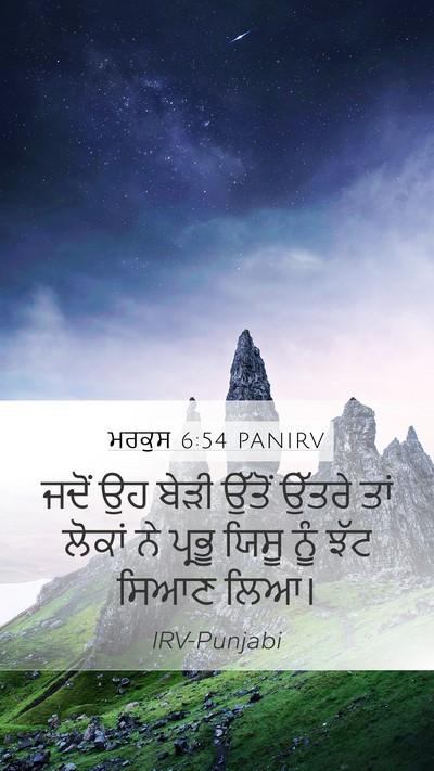 ਮਰਕੁਸ 6:54 PANIRV Bible Verse Image