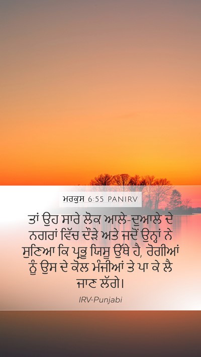 ਮਰਕੁਸ 6:55 PANIRV Bible Verse Image