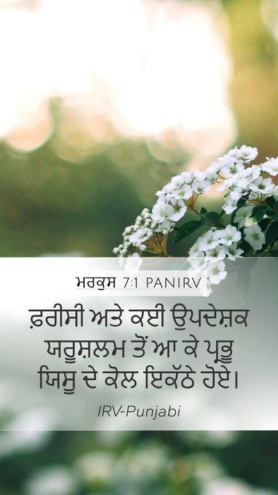 ਮਰਕੁਸ 7:1 PANIRV Bible Verse Image