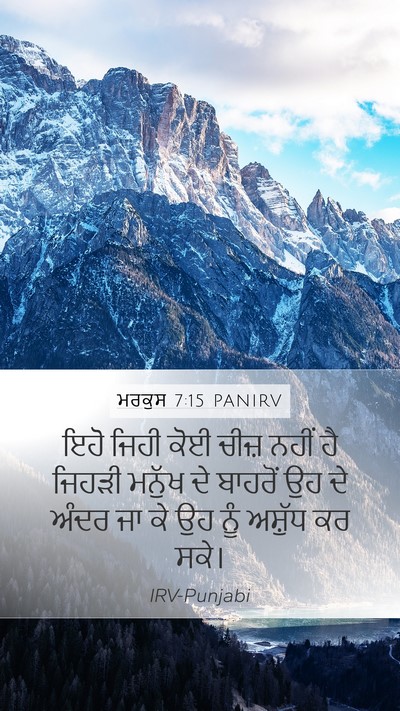 ਮਰਕੁਸ 7:15 PANIRV Bible Verse Image