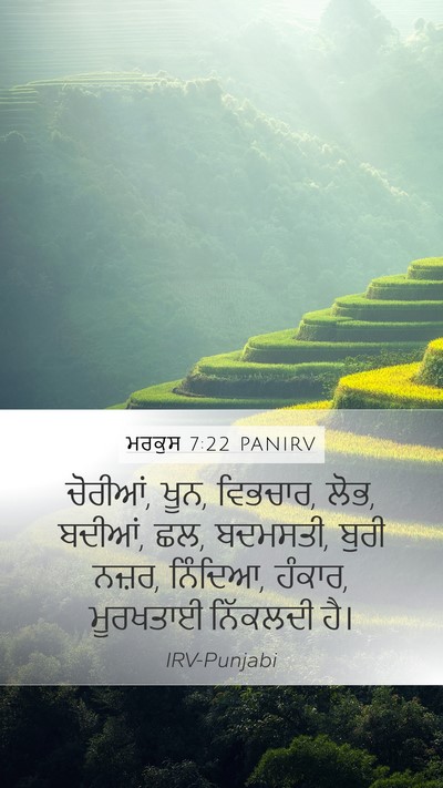 ਮਰਕੁਸ 7:22 PANIRV Bible Verse Image