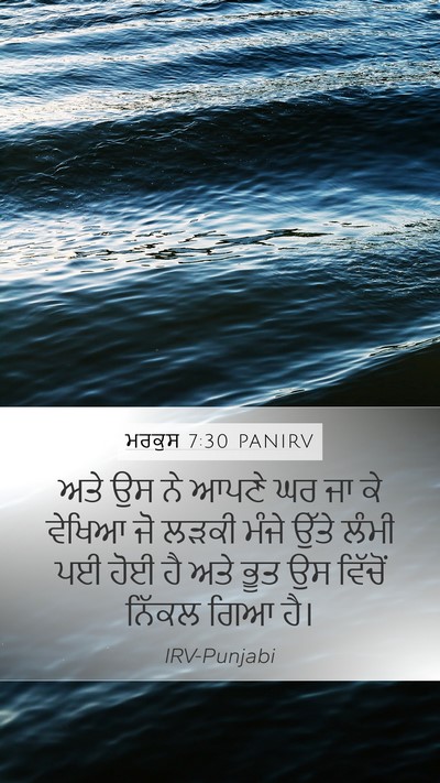 ਮਰਕੁਸ 7:30 PANIRV Bible Verse Image