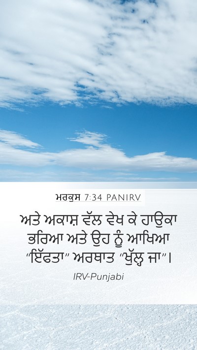 ਮਰਕੁਸ 7:34 PANIRV Bible Verse Image