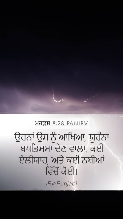 ਮਰਕੁਸ 8:28 PANIRV Bible Verse Image