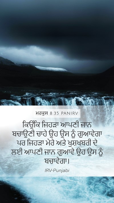 ਮਰਕੁਸ 8:35 PANIRV Bible Verse Image