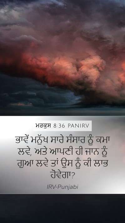 ਮਰਕੁਸ 8:36 PANIRV Bible Verse Image