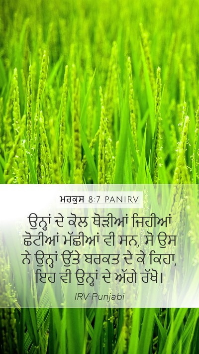 ਮਰਕੁਸ 8:7 PANIRV Mobile Phone Wallpaper - ਉਨ੍ਹਾਂ ਦੇ ਕੋਲ - Mobile Bible Verse Wallpaper