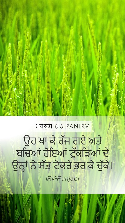ਮਰਕੁਸ 8:8 PANIRV Bible Verse Image