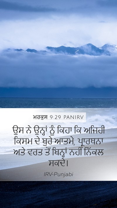 ਮਰਕੁਸ 9:29 PANIRV Mobile Phone Wallpaper - ਉਸ ਨੇ ਉਨ੍ਹਾਂ ਨੂੰ - Mobile Bible Verse Wallpaper