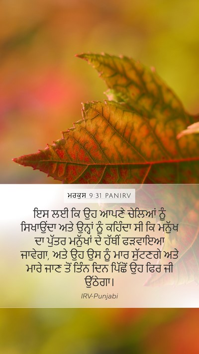 ਮਰਕੁਸ 9:31 PANIRV Bible Verse Image