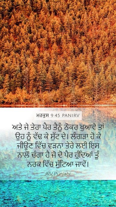 ਮਰਕੁਸ 9:45 PANIRV Bible Verse Image