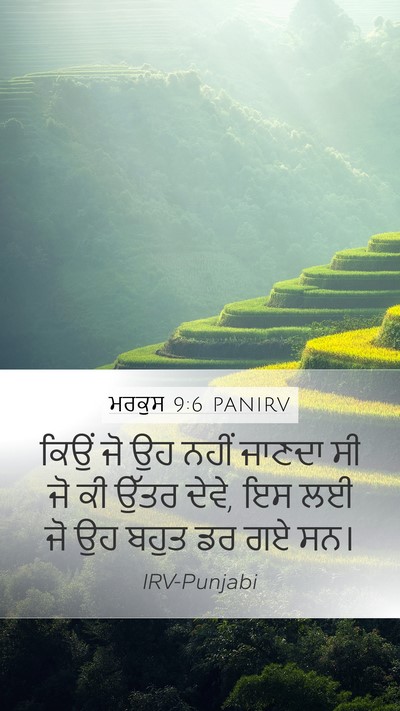 ਮਰਕੁਸ 9:6 PANIRV Bible Verse Image