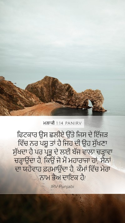 ਮਲਾਕੀ 1:14 PANIRV Bible Verse Image