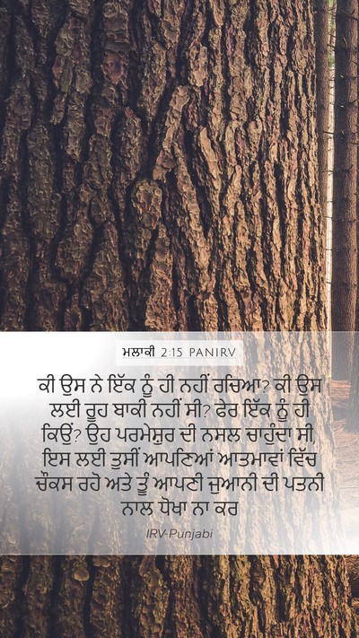 ਮਲਾਕੀ 2:15 PANIRV Bible Verse Image
