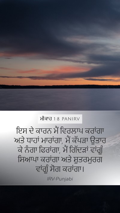 ਮੀਕਾਹ 1:8 PANIRV Bible Verse Image