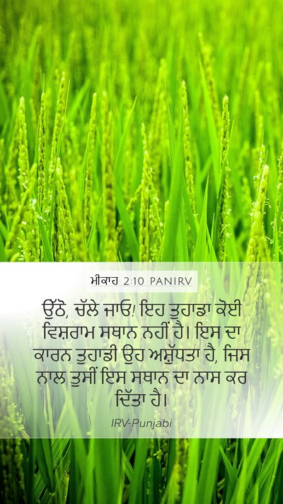 ਮੀਕਾਹ 2:10 PANIRV Bible Verse Image