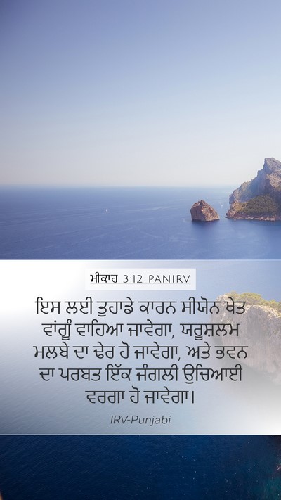 ਮੀਕਾਹ 3:12 PANIRV Bible Verse Image