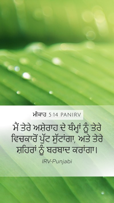 ਮੀਕਾਹ 5:14 PANIRV Bible Verse Image