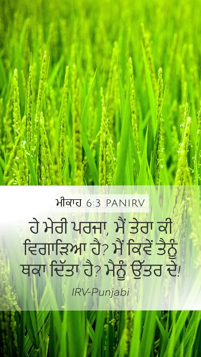 ਮੀਕਾਹ 6:3 PANIRV Bible Verse Image
