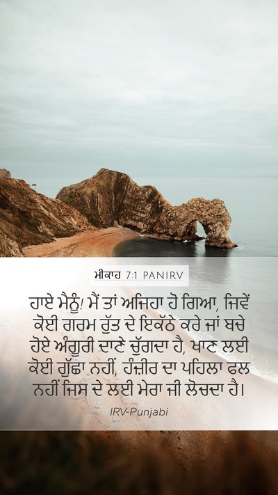 ਮੀਕਾਹ 7:1 PANIRV Bible Verse Image
