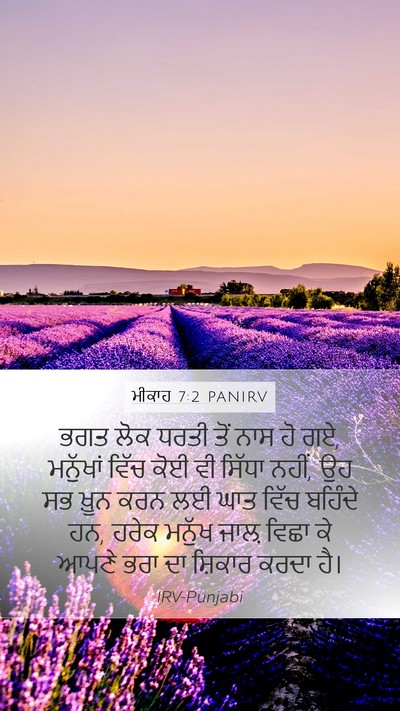 ਮੀਕਾਹ 7:2 PANIRV Bible Verse Image