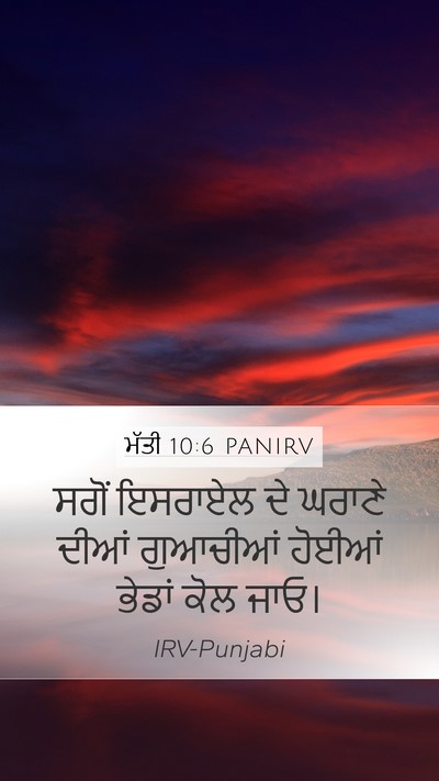 ਮੱਤੀ 10:6 PANIRV Bible Verse Image