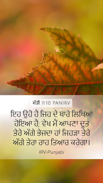 ਮੱਤੀ 11:10 PANIRV Bible Verse Image