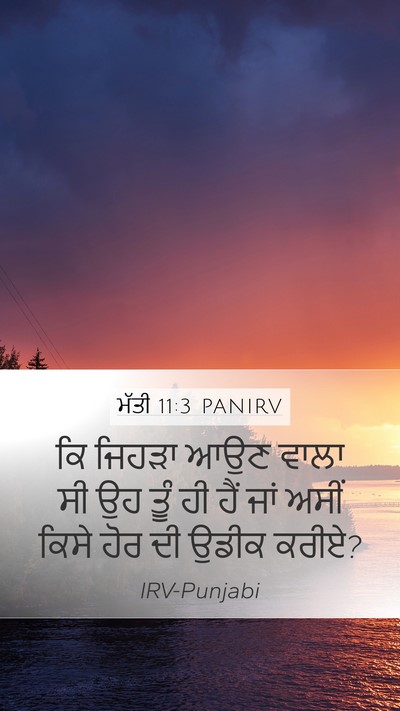 ਮੱਤੀ 11:3 PANIRV Bible Verse Image