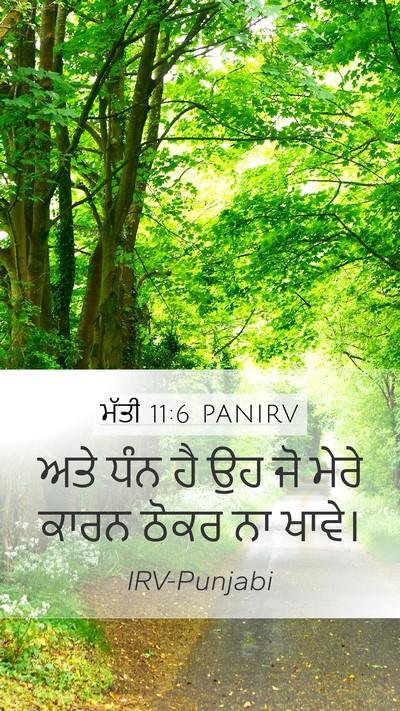 ਮੱਤੀ 11:6 PANIRV Bible Verse Image