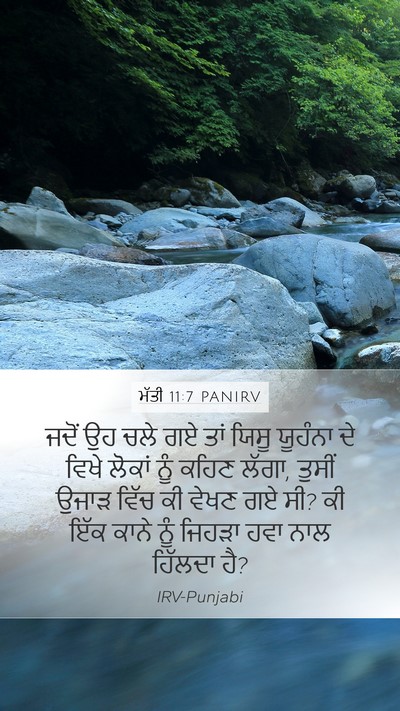 ਮੱਤੀ 11:7 PANIRV Bible Verse Image