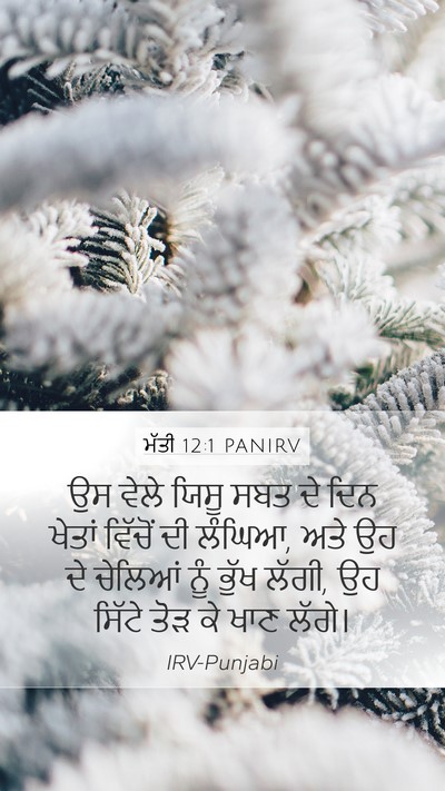 ਮੱਤੀ 12:1 PANIRV Bible Verse Image