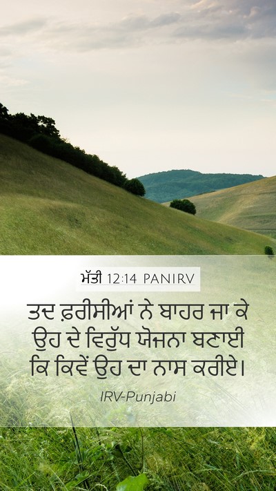 ਮੱਤੀ 12:14 PANIRV Bible Verse Image